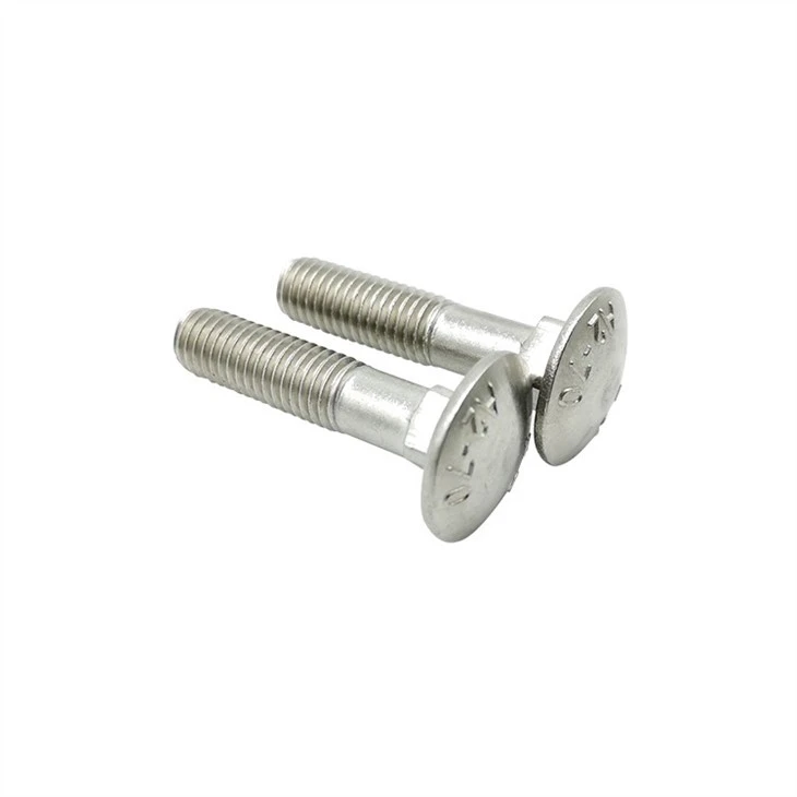 Stainless Steel Square Neck Carriage Bolts (2)