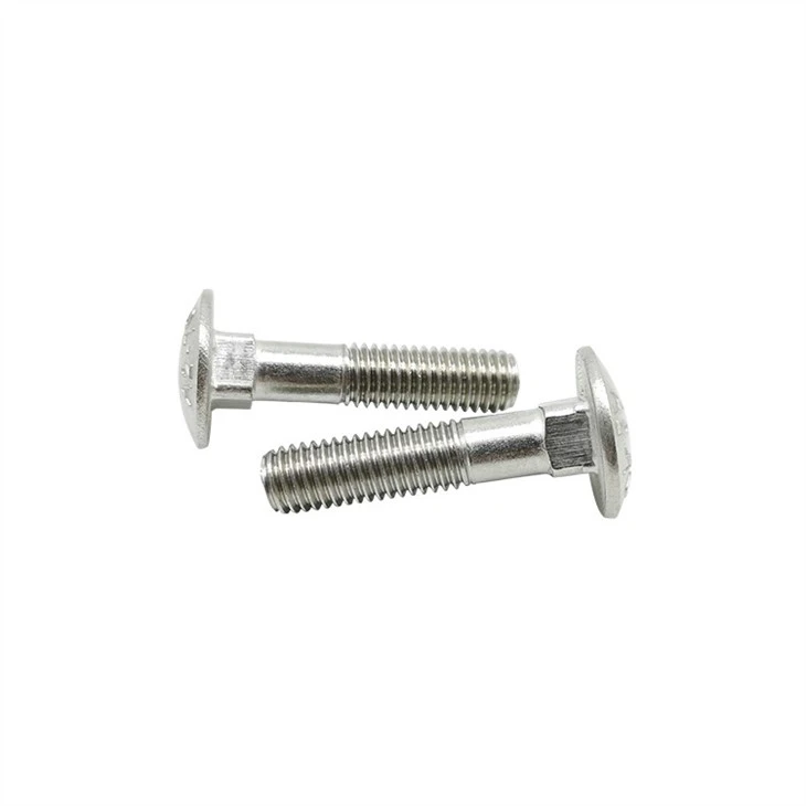 Stainless Steel Square Neck Carriage Bolts (5)